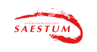 logo-saestum